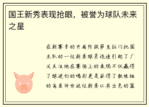 国王新秀表现抢眼，被誉为球队未来之星
